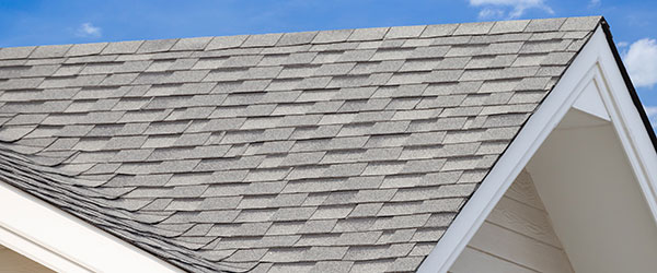 Roofing Services